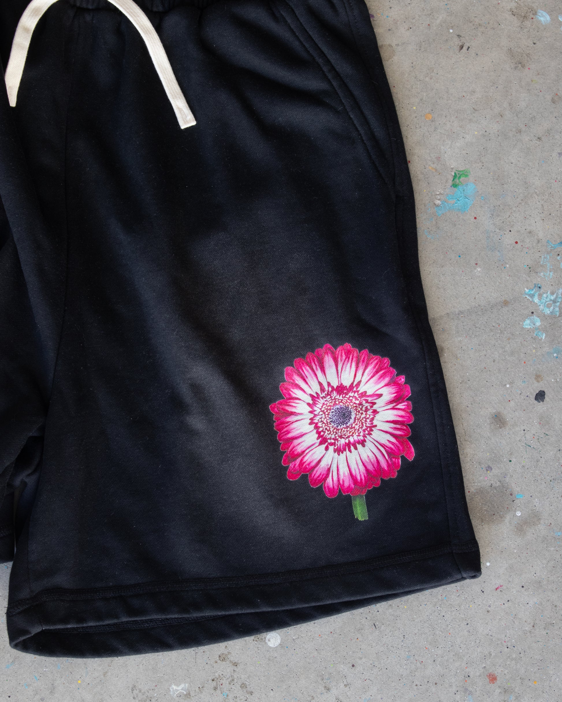 Signature Shorts