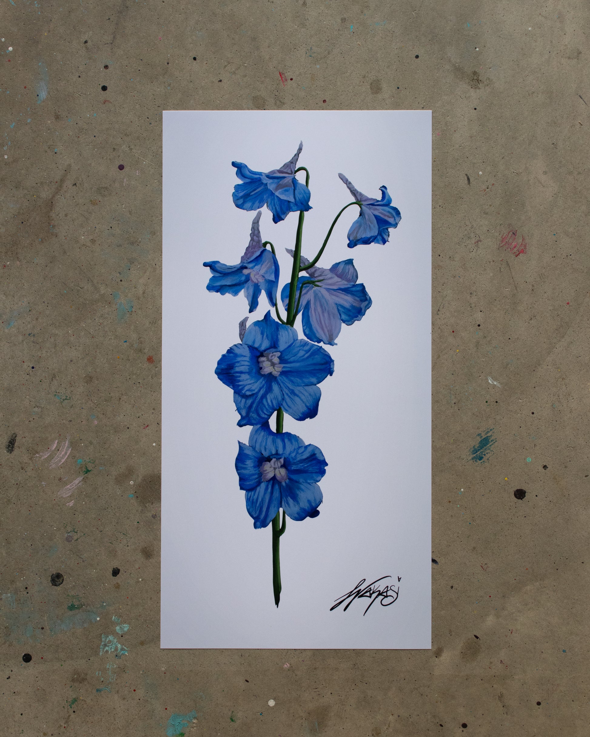 Prints