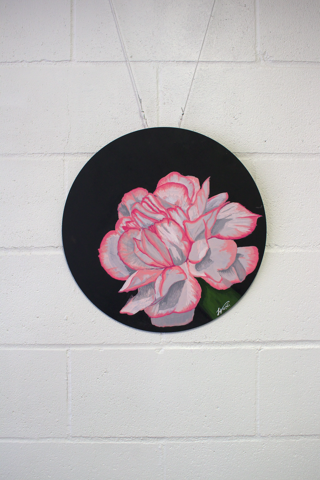 Carnation Original Artwork