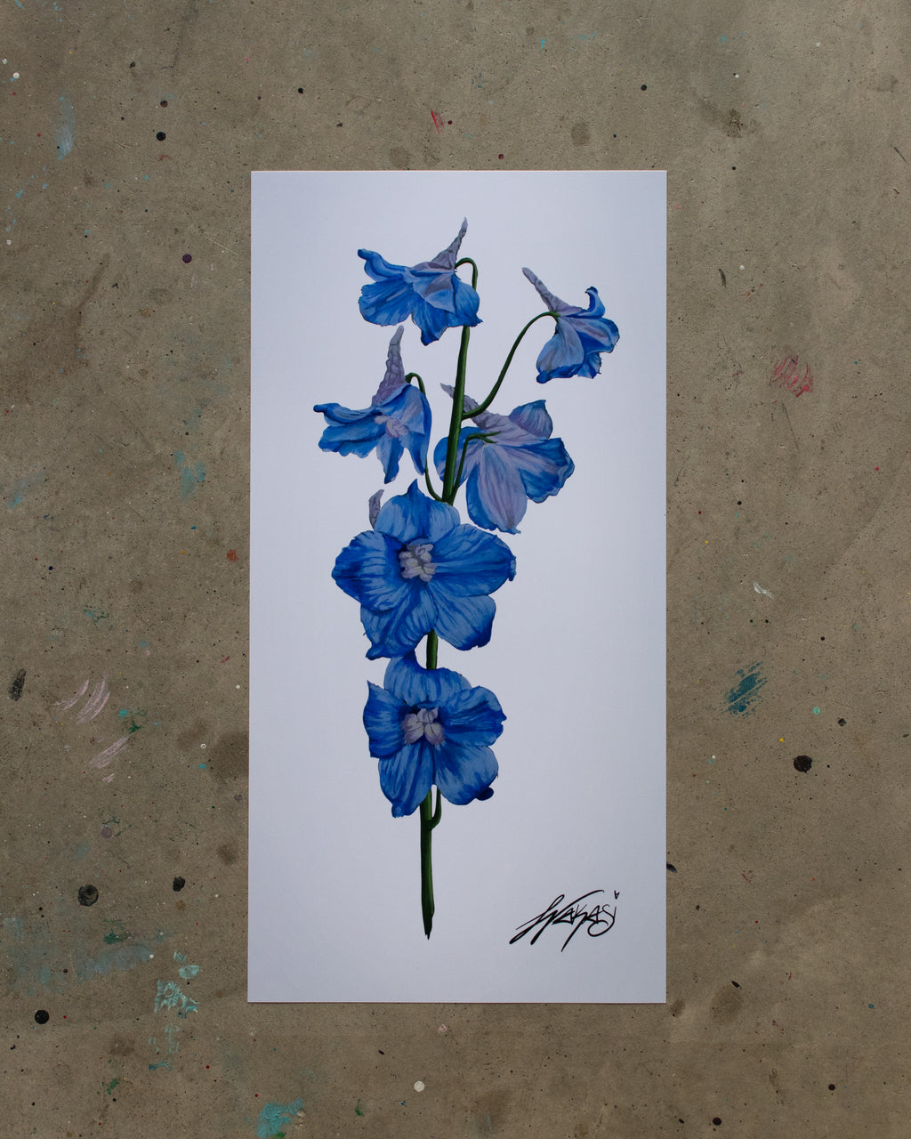 Prints