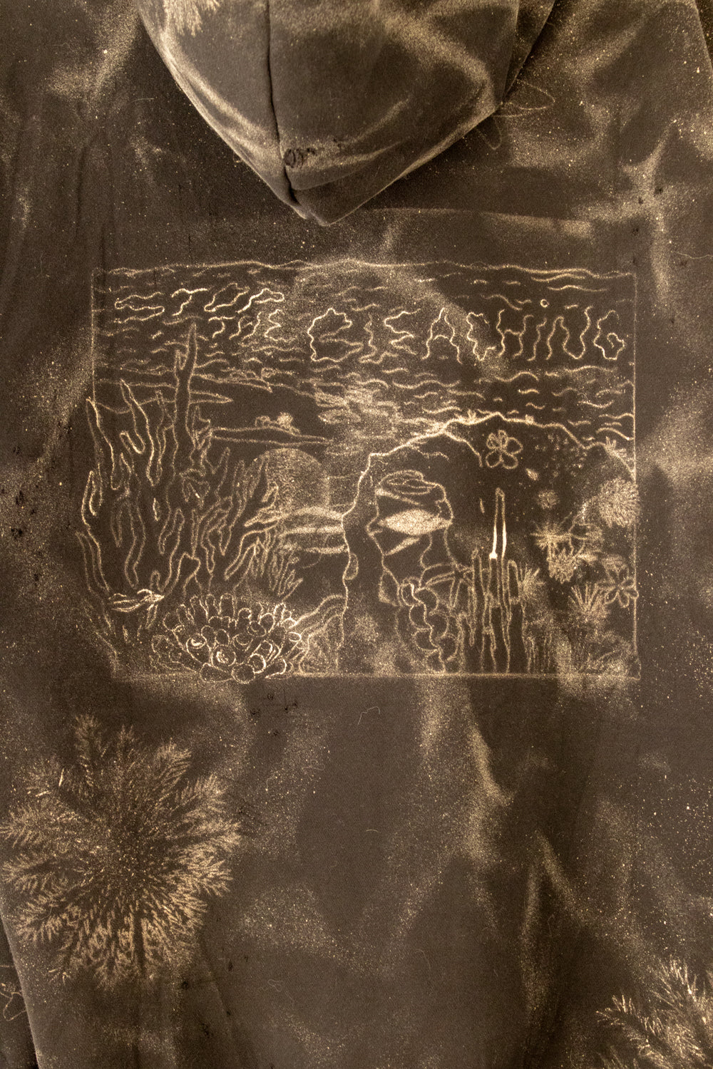 STOP THE BLEACHING!!!🪸🐠🐙🐡🦀🦈